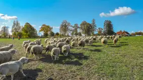 Fotorelacja z Mazurskiego Redyku w Sołdanach, październik 2024 - zdjęcie 45