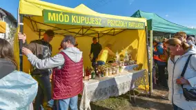 Fotorelacja z Mazurskiego Redyku w Sołdanach, październik 2024 - zdjęcie 49