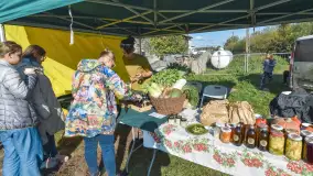 Fotorelacja z Mazurskiego Redyku w Sołdanach, październik 2024 - zdjęcie 54