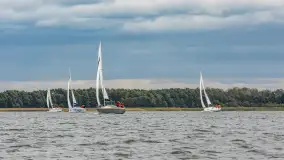 Fotorelacja z regat Robert's Cup, 27-28 września 2024 r. - zdjęcie 225