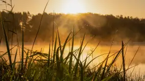 Wschód słońca nad jeziorem Iławki, październik 2024 r. - zdjęcie 10