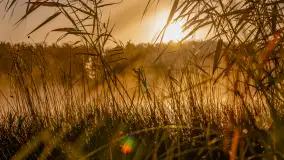 Wschód słońca nad jeziorem Iławki, październik 2024 r. - zdjęcie 17