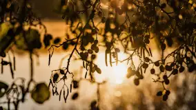 Wschód słońca nad jeziorem Iławki, październik 2024 r. - zdjęcie 31