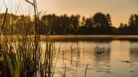 Wschód słońca nad jeziorem Iławki, październik 2024 r. - zdjęcie 13