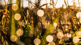 Wschód słońca nad jeziorem Iławki, październik 2024 r. - zdjęcie 12