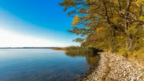 Jesień nad jeziorem Niegocin, październik 2024 r. - zdjęcie 11