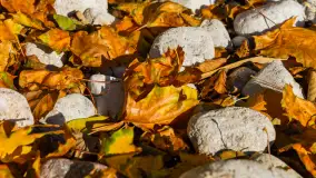 Jesień nad jeziorem Niegocin, październik 2024 r. - zdjęcie 29