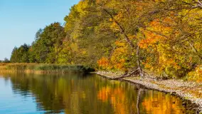 Jesień nad jeziorem Niegocin, październik 2024 r. - zdjęcie 24