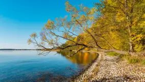 Jesień nad jeziorem Niegocin, październik 2024 r. - zdjęcie 15