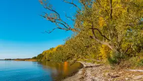 Jesień nad jeziorem Niegocin, październik 2024 r. - zdjęcie 3