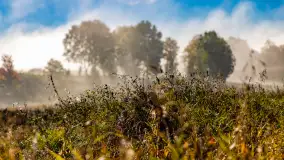 Mgły nad mazurskimi polami i łąkami, październik 2024 r. - zdjęcie 29