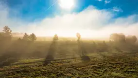 Mgły nad mazurskimi polami i łąkami, październik 2024 r. - zdjęcie 26