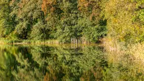 Jesień w Gizycku przy Boyen Water Park, październik 2024 r. - zdjęcie 16