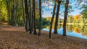 Jesień w Gizycku przy Boyen Water Park, październik 2024 r. - zdjęcie 2