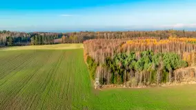 Kolory Mazur w drugiej połowie listopada, 2024 r. - zdjęcie 30