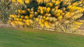 Kolory Mazur w drugiej połowie listopada, 2024 r. - zdjęcie 28