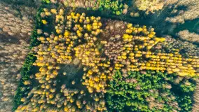 Kolory Mazur w drugiej połowie listopada, 2024 r. - zdjęcie 19