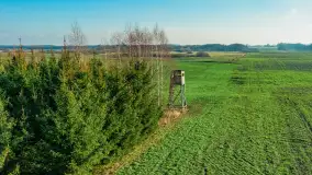 Kolory Mazur w drugiej połowie listopada, 2024 r. - zdjęcie 23