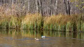 Krutynia na początku listopada 2024 - zdjęcie 21