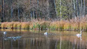 Krutynia na początku listopada 2024 - zdjęcie 9