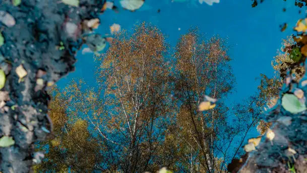 Podsumowanie mazurskiej, złotej jesieni 2024, cz. I - zdjęcie 8