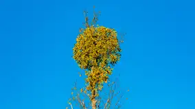 Podsumowanie mazurskiej, złotej jesieni 2024, cz. I - zdjęcie 45