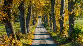 Podsumowanie mazurskiej, złotej jesieni 2024, cz. I - zdjęcie 12