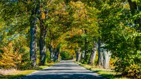 Podsumowanie mazurskiej, złotej jesieni 2024, cz. I - zdjęcie 55