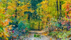 Podsumowanie mazurskiej, złotej jesieni 2024, cz. I - zdjęcie 29