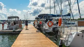 Tło dla Mew, sezon 2024 r. - zdjęcie 5