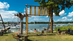 Tło dla Mew, sezon 2024 r. - zdjęcie 12