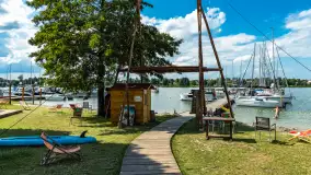 Tło dla Mew, sezon 2024 r. - zdjęcie 4