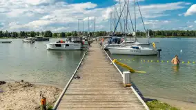 Tło dla Mew, sezon 2024 r. - zdjęcie 22