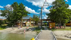 Tło dla Mew, sezon 2024 r. - zdjęcie 17