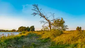 Sierpniowy zachód słońca, jezioro Kisajno i mazurska przyroda - zdjęcie 4