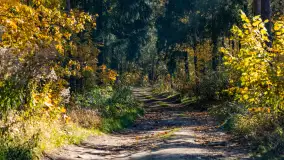 Podsumowanie mazurskiej, złotej jesieni 2024, cz. II - zdjęcie 12