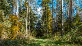 Podsumowanie mazurskiej, złotej jesieni 2024, cz. II - zdjęcie 14