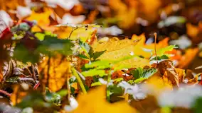 Podsumowanie mazurskiej, złotej jesieni 2024, cz. II - zdjęcie 3