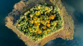 Podsumowanie mazurskiej, złotej jesieni 2024, cz. II - zdjęcie 7