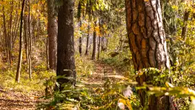 Podsumowanie mazurskiej, złotej jesieni 2024, cz. III - zdjęcie 4