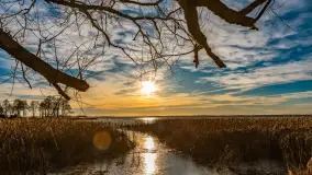 Słoneczny, późno jesienny dzień nad Niegocinem, grudzień 2024 r. - zdjęcie 16