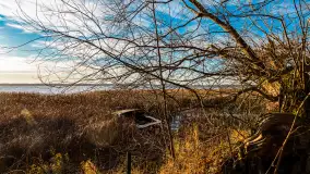 Słoneczny, późno jesienny dzień nad Niegocinem, grudzień 2024 r. - zdjęcie 5