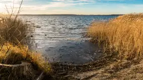 Słoneczny, późno jesienny dzień nad Niegocinem, grudzień 2024 r. - zdjęcie 22