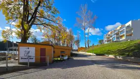 Stranda na początku listopada 2024 r. - zdjęcie 8