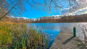Łabędzi Ostrów w Pięknej Górze w jesiennych barwach - zdjęcie 13