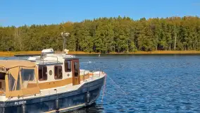 Łabędzi Ostrów w Pięknej Górze w połowie października 2024 - zdjęcie 5