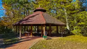 Łabędzi Ostrów w Pięknej Górze w połowie października 2024 - zdjęcie 4