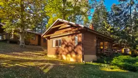 Łabędzi Ostrów w Pięknej Górze w połowie października 2024 - zdjęcie 2