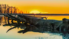 Wschód słońca nad jeziorem Dargin, most Sztynorcki, grudzień 2024 r. - zdjęcie 3