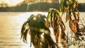 Zimowe mobilne biuro Mazury24, czyli Arek na biwaku, grudzień 2024 r. - zdjęcie 9